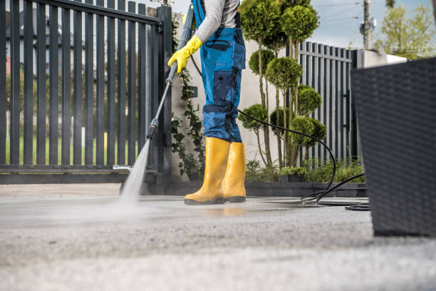 Best Residential Pressure Washing Services  in Salamanca, NY