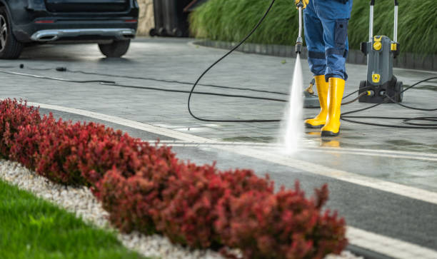 Best Deck Cleaning Services  in Salamanca, NY